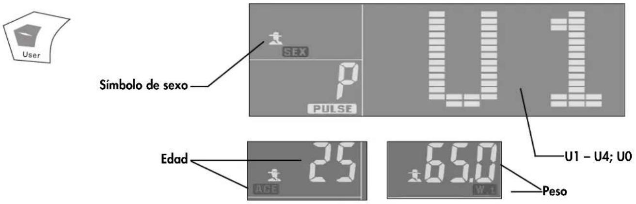 KETTLER Velo P - Instrucciones de entrenamiento y de uso - 2