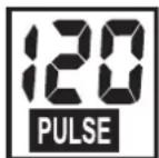 KETTLER ST 7476 - PULSE (en haut à droite) - 1