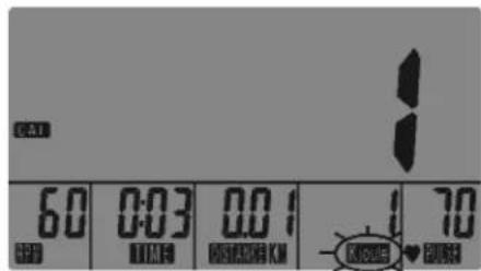 KETTLER Sinto M - Distancia (DISTANCE) - 2