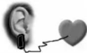 KETTLER SM 914575 - Evite impulsos perturbadores. - 5