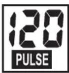 KETTLER SM 914575 - PULSE Pulsação/ritmo cardíaco - 1