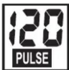 KETTLER SM 914575 - PULSE Polsslag / Hartslagfrequentie - 1