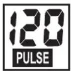KETTLER SM 914575 - PULSE Pouls / fréquence cardiaque - 1