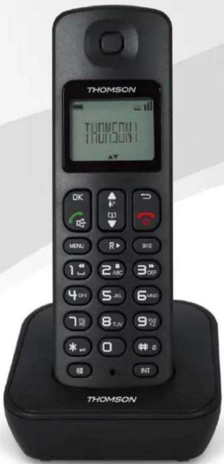 THOMSON Mica TH020DR2BK - Télé phone sans fil numérique Manuel d'utilisation - 1