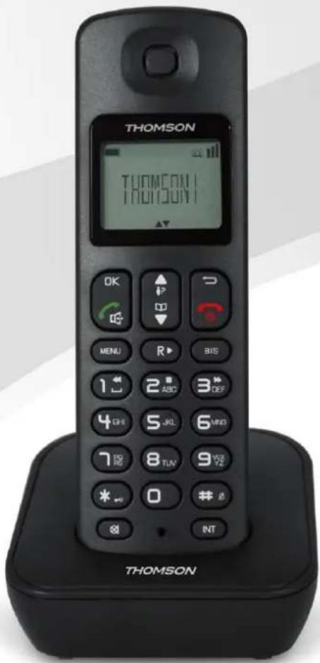 THOMSON Mica TH020DRWE - 1