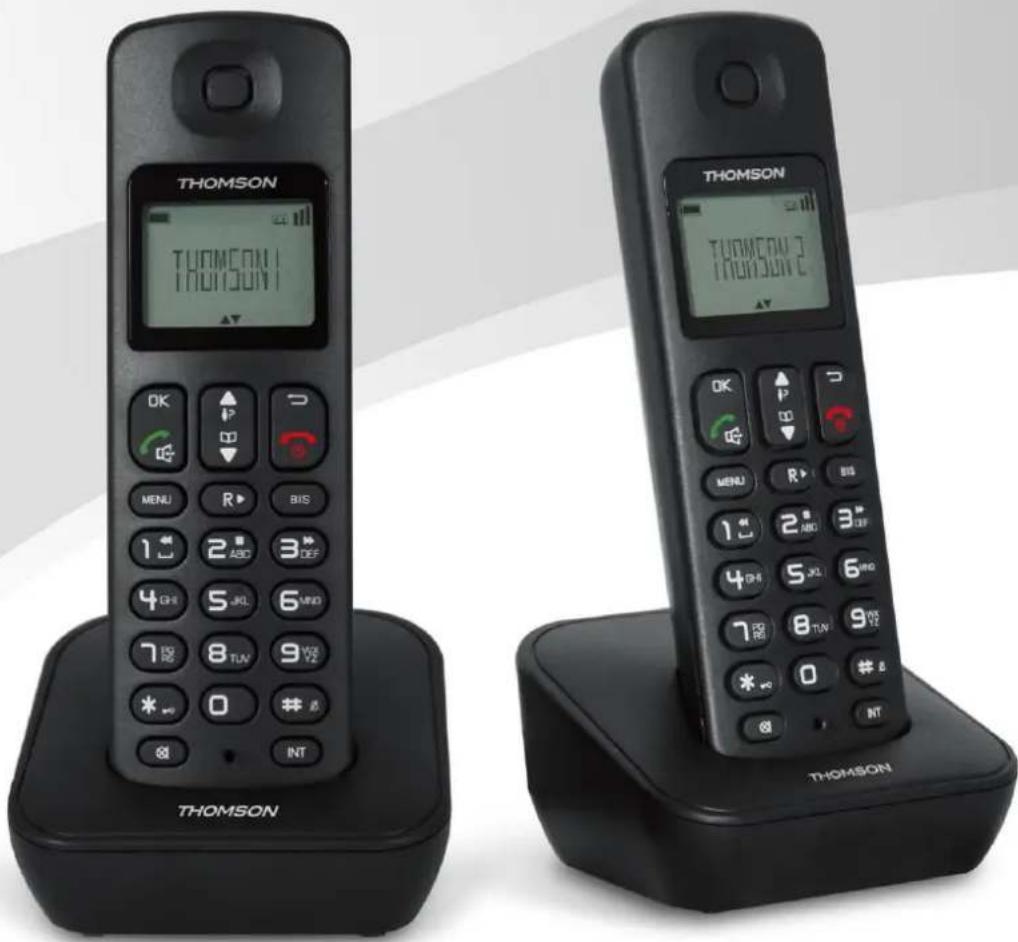 THOMSON Mica TH020DR2WE - REPONDEUR - 1