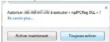 Autoriser - and active - à executer - npPCReg DLL - ? En savoir plus... Active maintainant Touguers activer