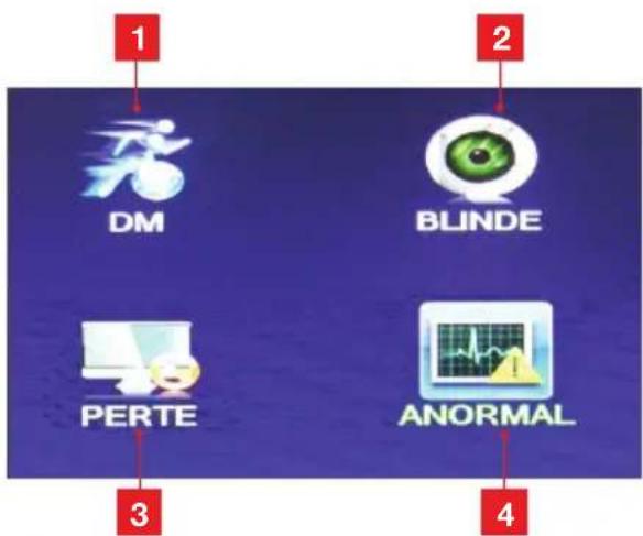 1 DM 2 BLINDE 3 PERTE 4 ANORMAL