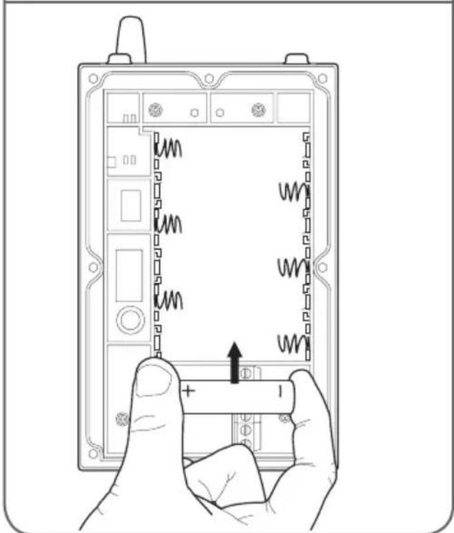 THOMSON 512166 - Tramite pile - 2