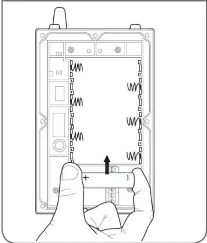 THOMSON 512166 - Mit Batterien - 2
