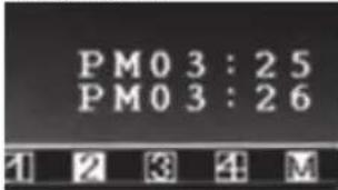 THOMSON 512166 - 5-LEZEN VAN EENVIDEOBESTAND - 1