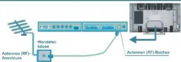 TechLine TL42LC735 - AnschließenvonZusatzgeräten - 1