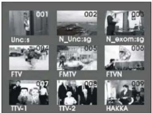 001 002 003 Unc:s N_Unc:sg N_exom:sg 004 005 006 FTV FMTV FTVN 007 008 009 TTV-1 TTV-2 HAKKA