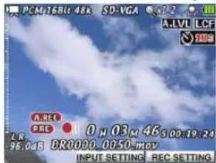 TASCAM DRV1HD - Réglage du niveau d'entrée - 1