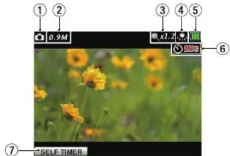 TASCAM DRV1HD - Aspect quand l'appareil est pret a photographier - 1