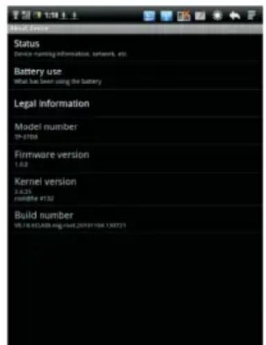 Ricatech TAB1004 - ABOUT DEVICE - 4