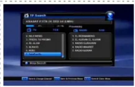Denson DS300HD - 5-1-3 Zoek Alles (Search All > Blauwe toets in de TP instellingen / TP search) - 1