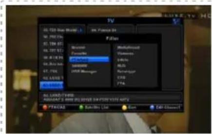 Denson DS300HD - 4-4 Kanalenlijst voor TV / Radio / Favorieten - 2
