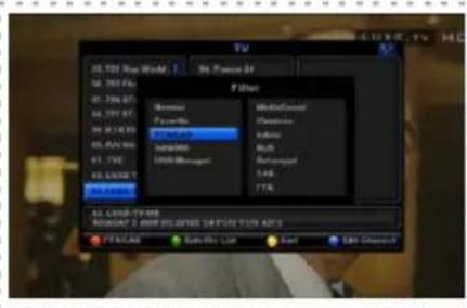 Denson DS300HD - 4-4 Channel List for TV/Radio/Favorite - 2