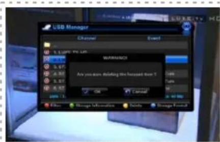Denson DS300HD - Storage information - 1