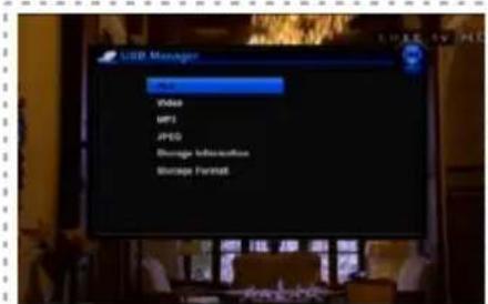 Denson DS300HD - 5-5 USB Manager - 1