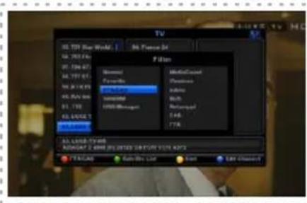 Denson DS300HD - 4-4 List des chaînes TV/Radio/Favorites - 2