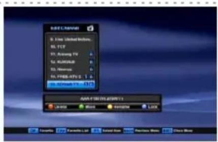 Denson DS300HD - Kanalen hernoemen - 1