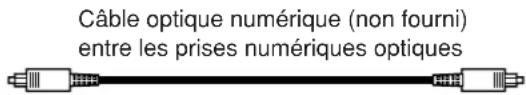 Câble optique numérique (non fourni) entre les prises numériques optiques