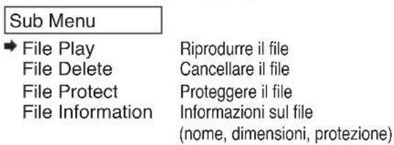 Monacor DMR250SET - Gestione delle registrazioni - 1