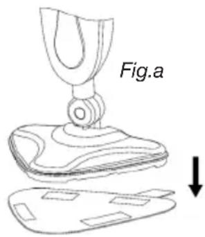 Fig.a