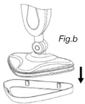Fig.b