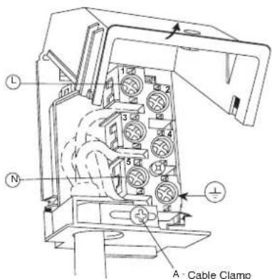 FRATELLI ONOFRI YP 192.C50 - IMPORTANT - 1
