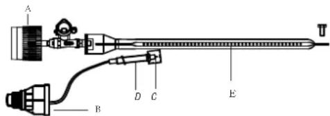 GRANDHALL EliteGT4RBS - FONCTIONNEMENTDESBRULEURSETINSPECTIONDUSYSTEMEDALLUMAGE - 1