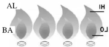 Brixton BQ6346Y - PULIZIA E MANUTENZIONE MANUTENZIONE - 1