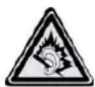 Rocktrail PMR1100 - Note sull'utilizzo di questo manuale - 3