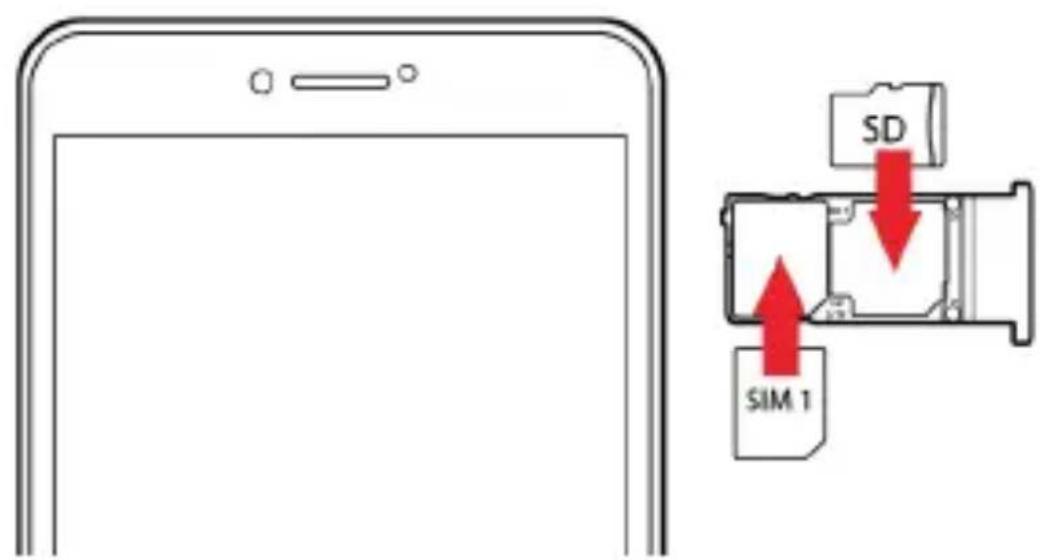 YEZZ Andy 6EL LTE - Inserire una scheda di memoria (facoltativo) - 1