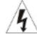 SynQ CDX2 - PRECAUCIONES RELACIONADAS CON EL MANEJO - 1