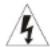 SynQ CDX2 - CAUTION - 1