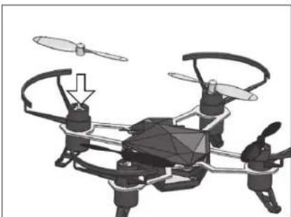 Revell Spot - F IMPORTANT! - 5