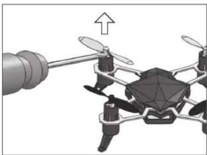 Revell Spot - GB IMPORTANT! - 1