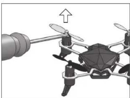 Revell Spot - F IMPORTANT! - 3