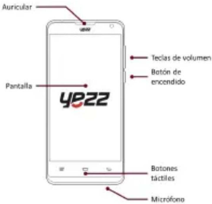 YEZZ Andy 5T - Desempaquetado - 1