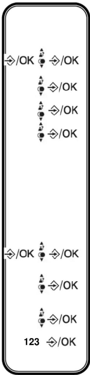 LOGICOM Manta 200 - 8-1- Choix du format - 1