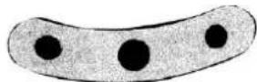 Eurom Ceiling Fan 48 - Plafondventilator - 1