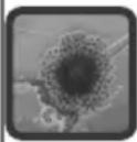 Airfree P150 - Anwendungsbereiche - 4