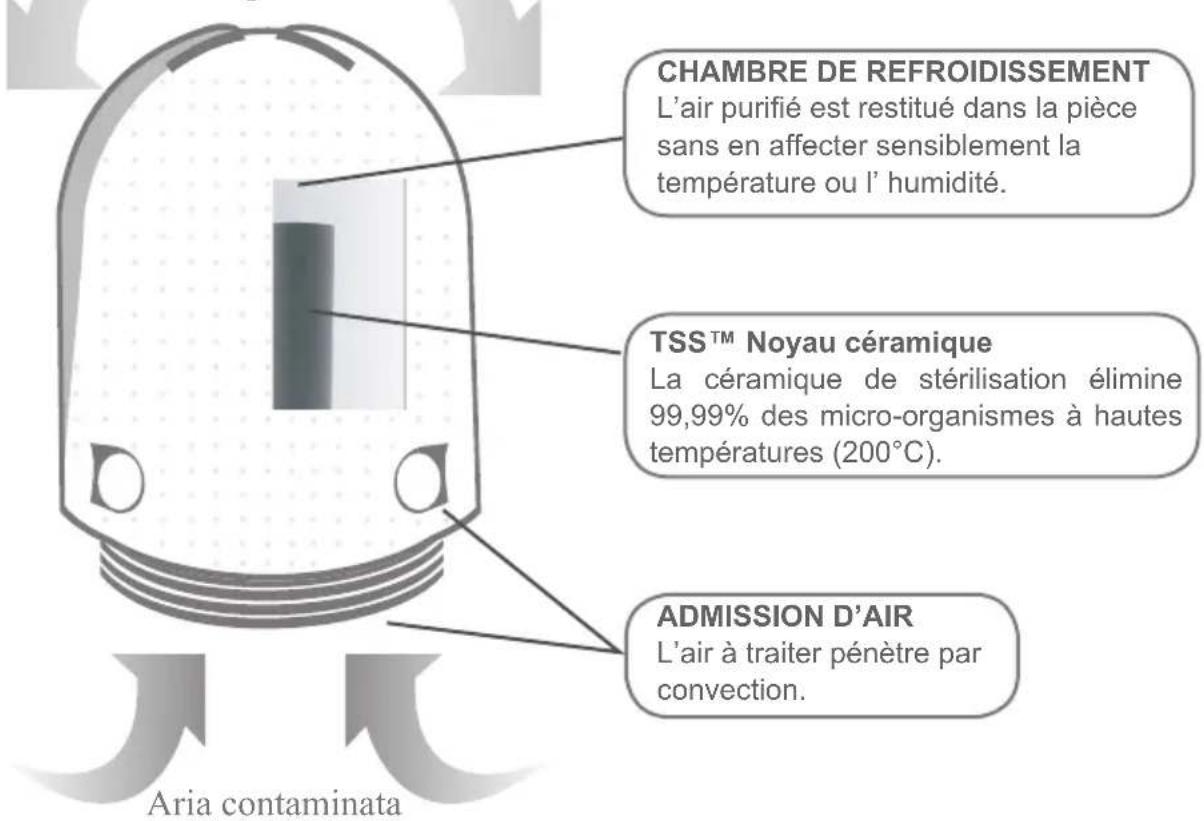 Airfree Babyair E60 - Fonctionnement et Entretien - 1