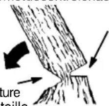 MCCULLOCH CS 400T - TRAITD'ABATTAGEETABATTA- GEDEL'ARBRE - 2