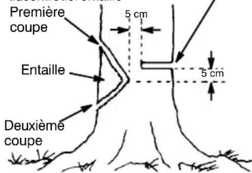 MCCULLOCH CS 360T - TRAITD'ABATTAGEETABATTA- GEDEL'ARBRE - 1