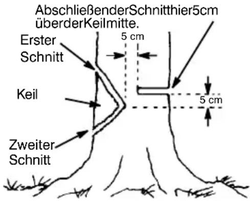 MCCULLOCH CS 360T - UNTERSCHNITTUNDFÄLLENDES BAUMS - 1
