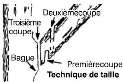 MCCULLOCH CS 360T - AVERTISSEMENT: Netaillezpas - 1